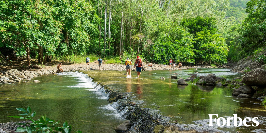 Panta Rhei: Everything Flows in Healthcare